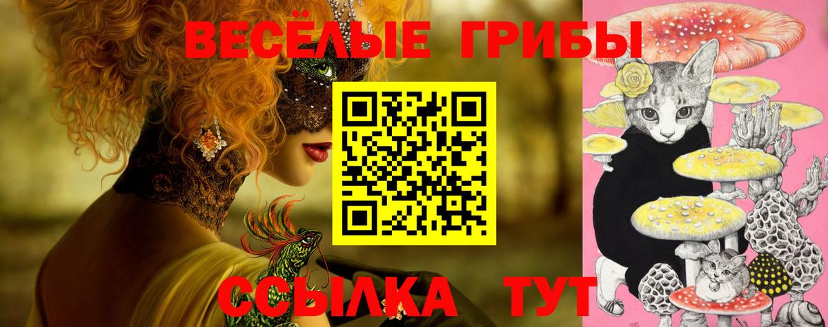 Рузаевка  Псилоцибиновые грибы мицелий  Вход с VPN 
